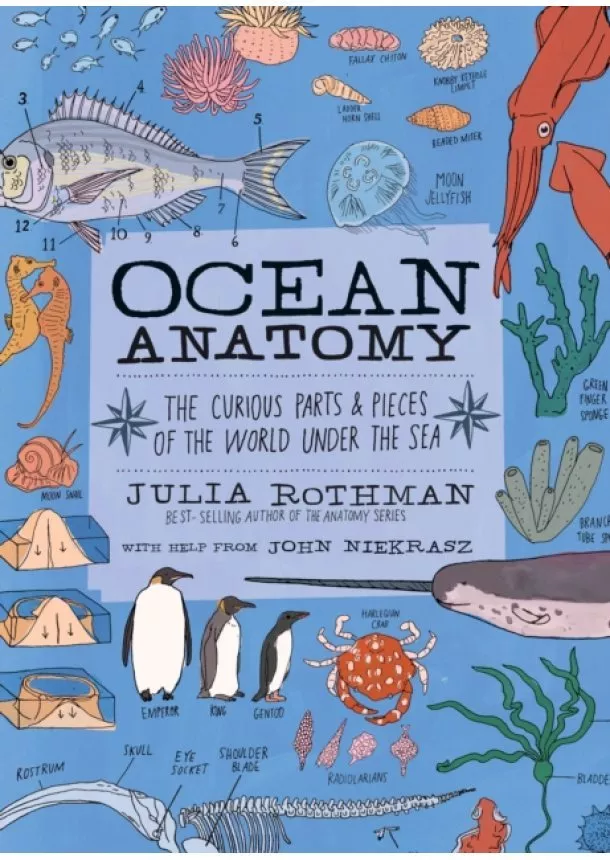 Julia Rothman - Ocean Anatomy