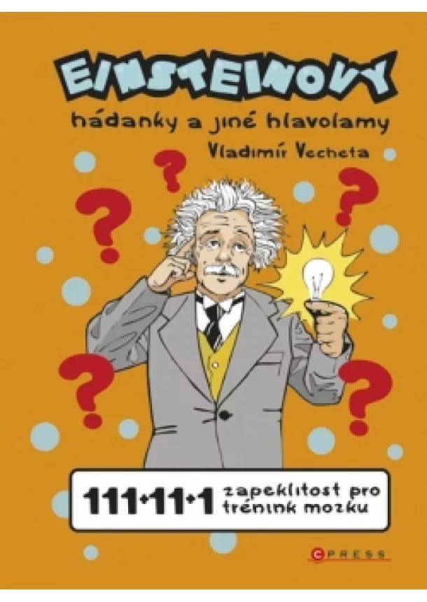 Vladimír Vecheta - Einsteinovy hádanky a jiné hlavolamy