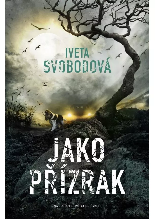 Iveta Svobodová - Jako přízrak