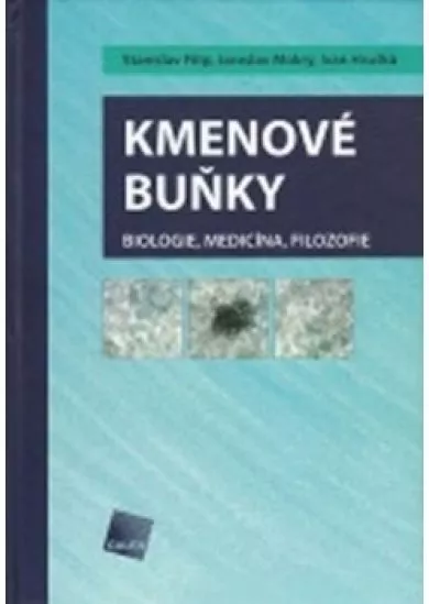 Kmenové buňky