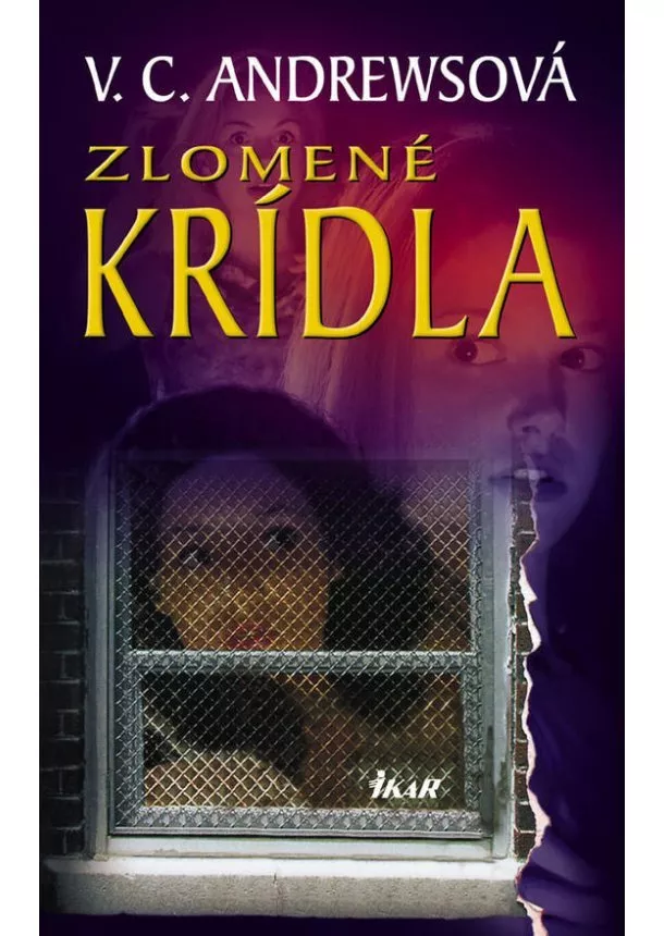 Andrewsová Virginia Cleo - Zlomené krídla