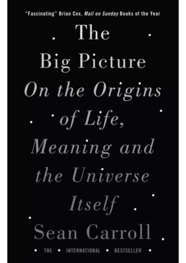 Sean Carroll - The Big Picture