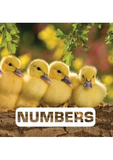 Numbers