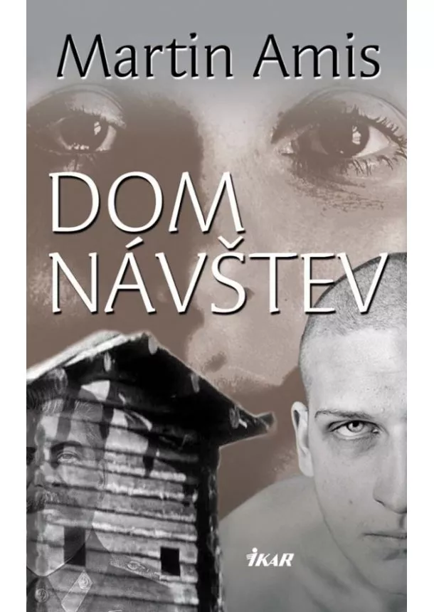 Martin Amis - Dom návštev