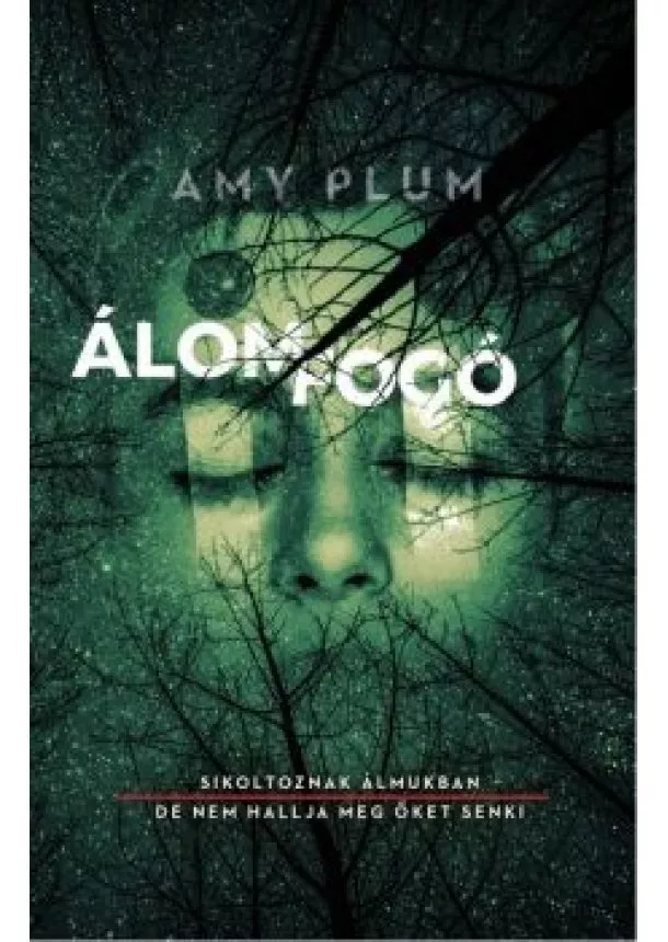 Amy Plum - Álomfogó