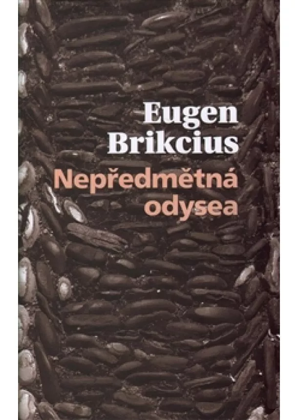 Eugen Brikcius - Nepředmětná Odyssea