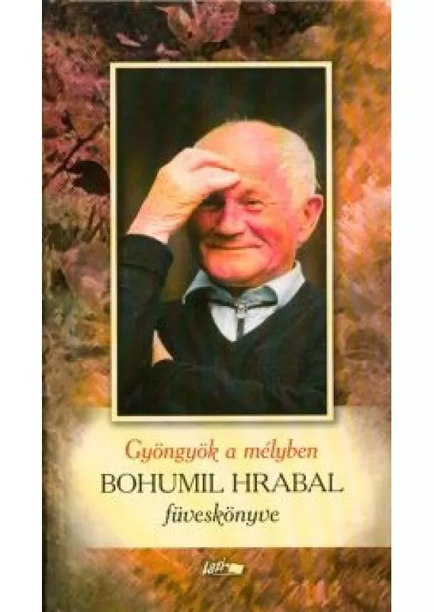 Bohumil Hrabal - Gyöngyök a mélyben /Bohumil Hrabal föveskönyve