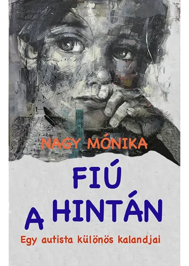 Nagy Mónika - Fiú a hintán - egy autista különös kalandjai