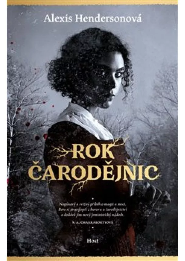 Alexis Hendersonová - Rok Čarodějnic