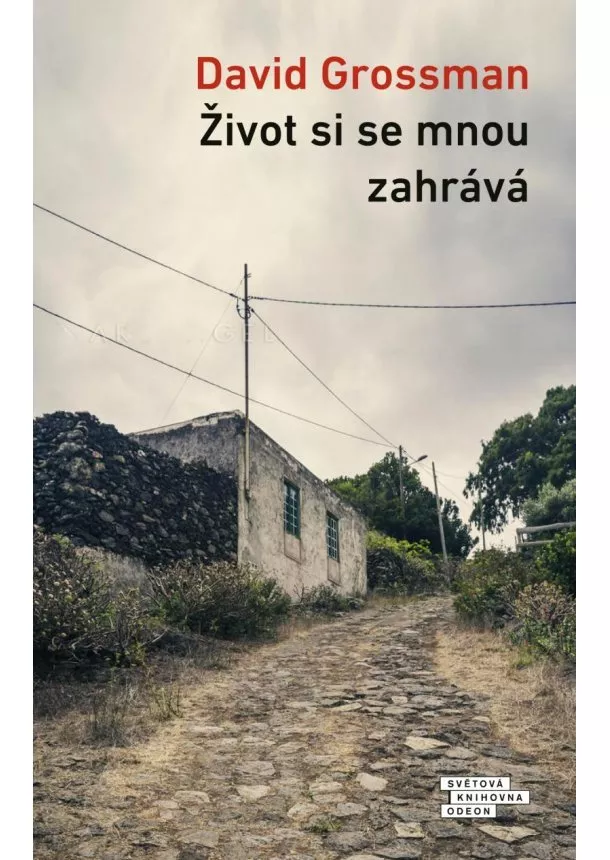 David Grossman - Život si se mnou zahrává