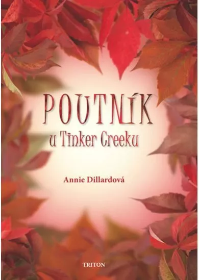 Poutník u Tinker Creeku