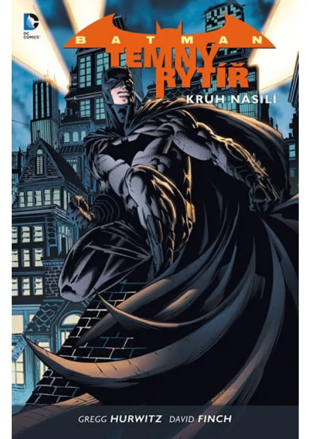 David Finch, Gregg Hurwitz - Batman: Temný rytíř 2 - Kruh násilí