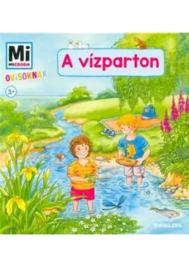 A vízparton - Mi Micsoda Ovisoknak