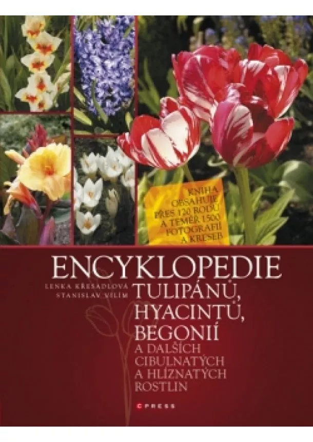 Stanislav Vilím - Encyklopedie tulipánů, hyacintů, begonií