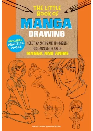 Little Book of Manga Drawing