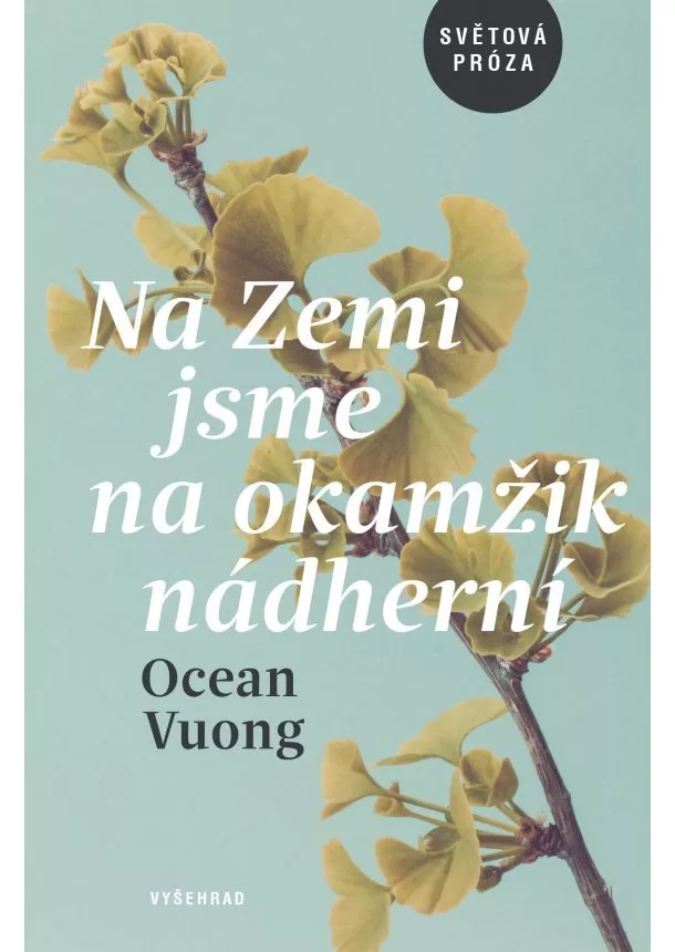 Ocean Vuong - Na Zemi jsme na okamžik nádherní