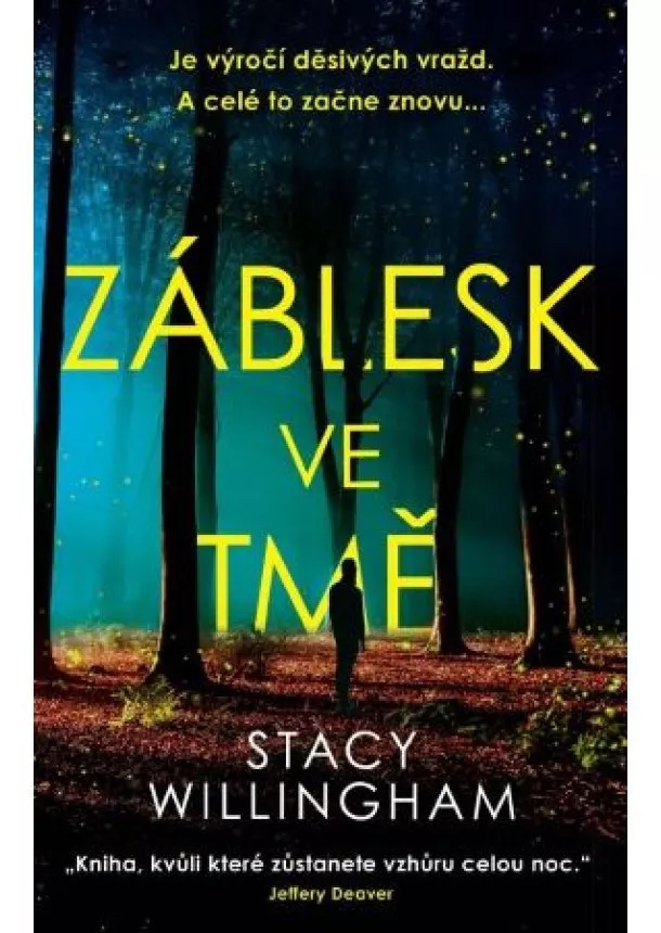 Stacy Willingham - Záblesk ve tmě