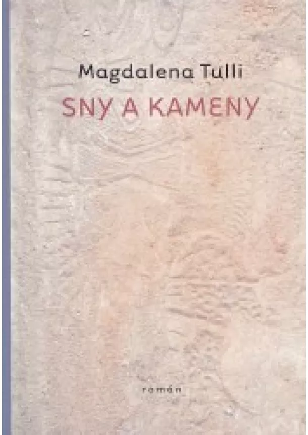 Magdalena Tulli - Sny a kameny