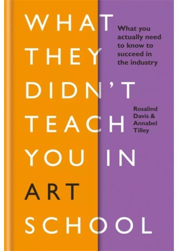 Rosalind Davis, Annabel Tilley - What They Didnt Teach You in Art School